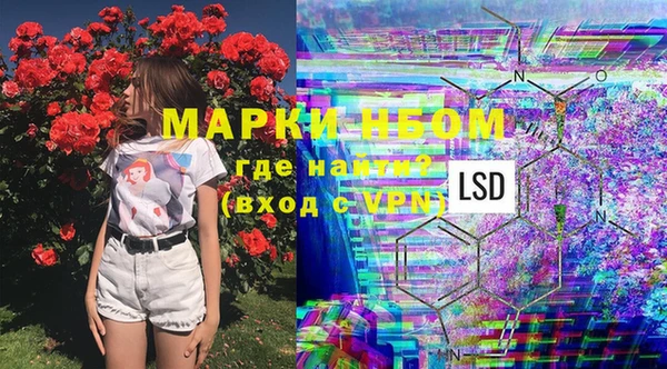 гидра Белоозёрский
