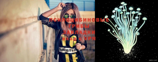 ПСИЛОЦИБИНОВЫЕ ГРИБЫ Белокуриха