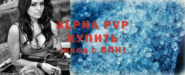 ПСИЛОЦИБИНОВЫЕ ГРИБЫ Белокуриха