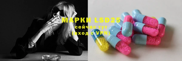 ПСИЛОЦИБИНОВЫЕ ГРИБЫ Белокуриха