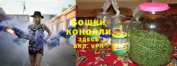 гидра Белоозёрский